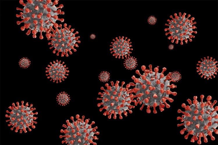 Ukupno 10 novih slučajeva virusa korona u Tuzlanskom kantonu