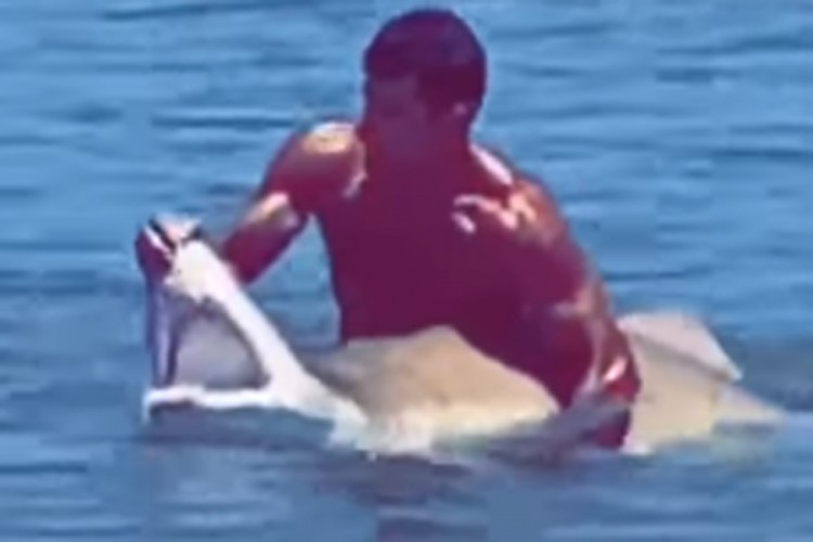 Nevjerovatan snimak: Plivač uhvatio ajkulu i otvorio joj usta