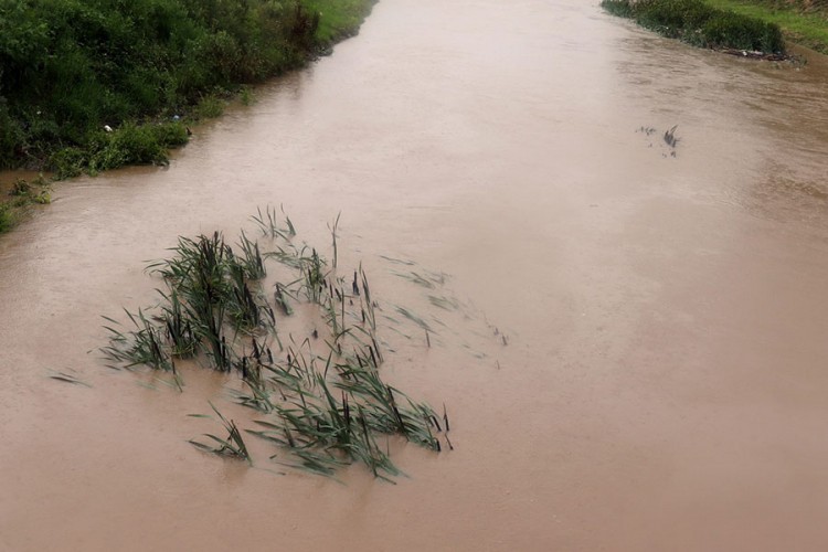 Vlada Srbije proglasila elementarnu nepogodu zbog poplava