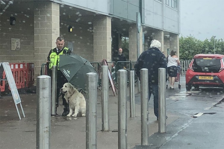 Psa ostavili zavezanog na kiši, čuvar držao kišobran i postao hit