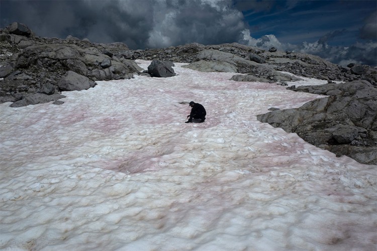 Pocrvenio led u italijanskim Alpima