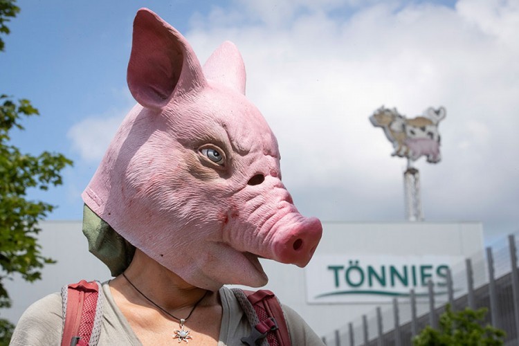 Cijene svinjetine naglo pale zbog zaraze u velikoj klaonici