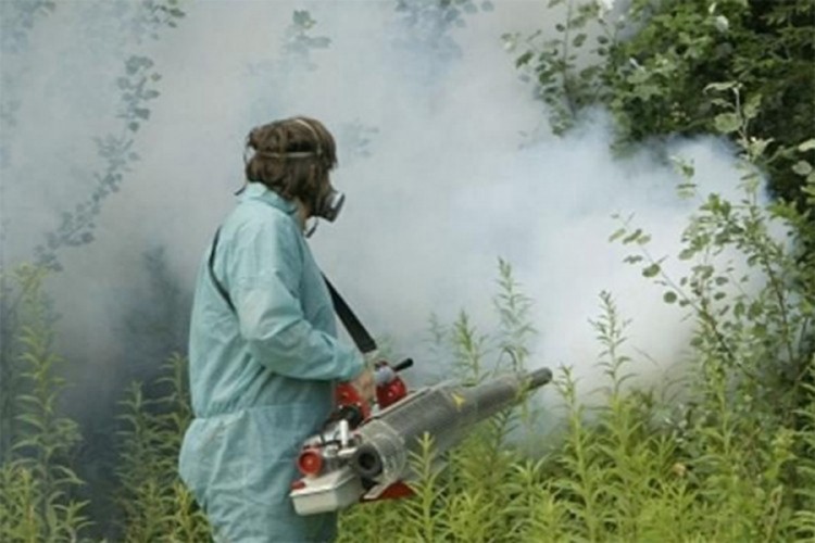 U subotu počinje zaprašivanje komaraca na području Bijeljine