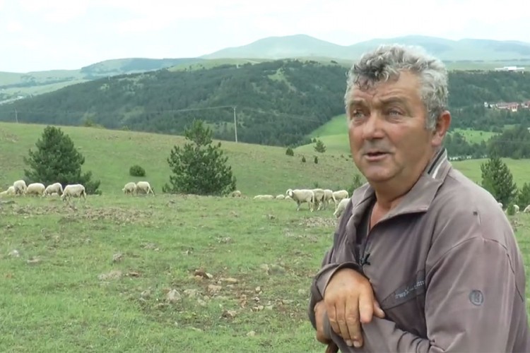 Pastir iz Jablanice: Zarada nije mala