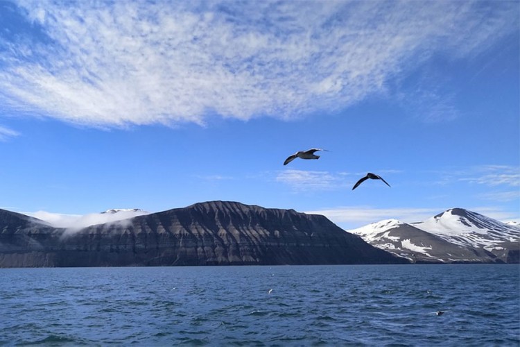 Oboren temperaturni rekord u norveškom arhipelagu na Arktiku
