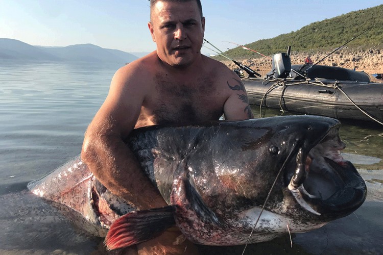 Radoslav Kečojević ulovio soma od 92 kilograma na Bilećkom jezeru