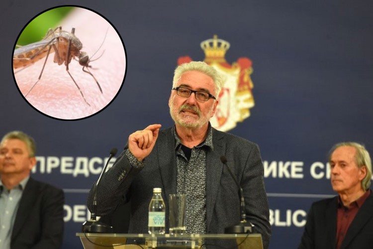 Doktor Nestorović objasnio kako se zaštiti od komaraca