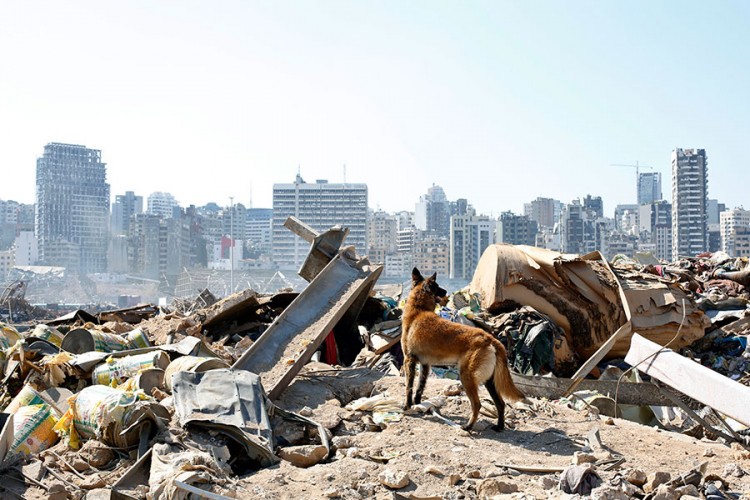 Hronologija tragedije u Bejrutu: Godine nemara dovele do katastrofe