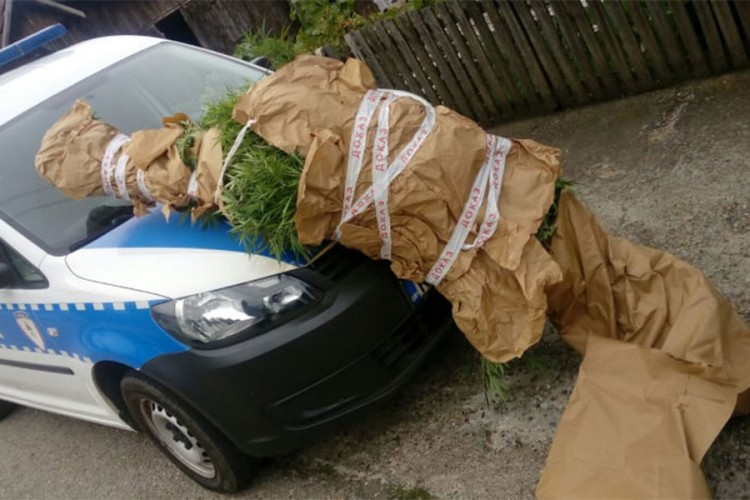 Akcija "Plantaža": U Doboju pronađena droga i oružje