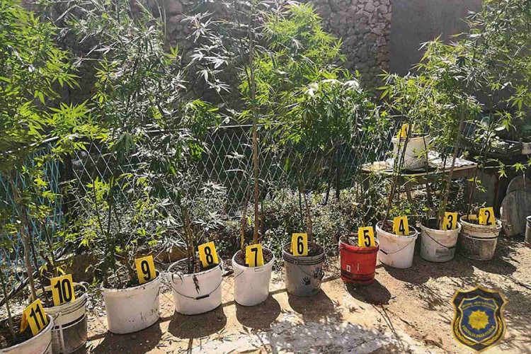Pronađena droga i kalašnjikovi u Čitluku, jedno uhapšeno