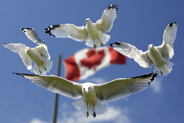 Kanada zabranila ulazak većini stranih državljana do 30. septembra