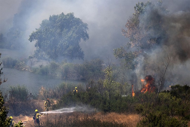 U Kaliforniji šumski požari zahvatili rekordne površine