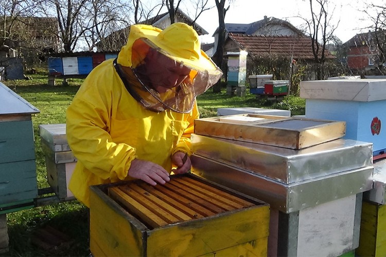 Loše vrijeme zagorčalo prinose meda