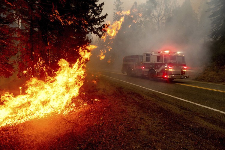 Tri osobe poginule u šumskom požaru u Kaliforniji