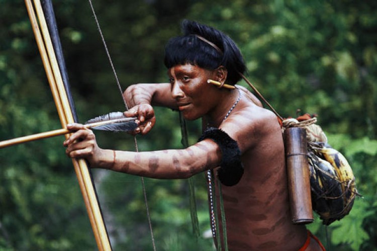 Ekspert vlade Brazila za amazonska plemena ubijen otrovnom strijelom