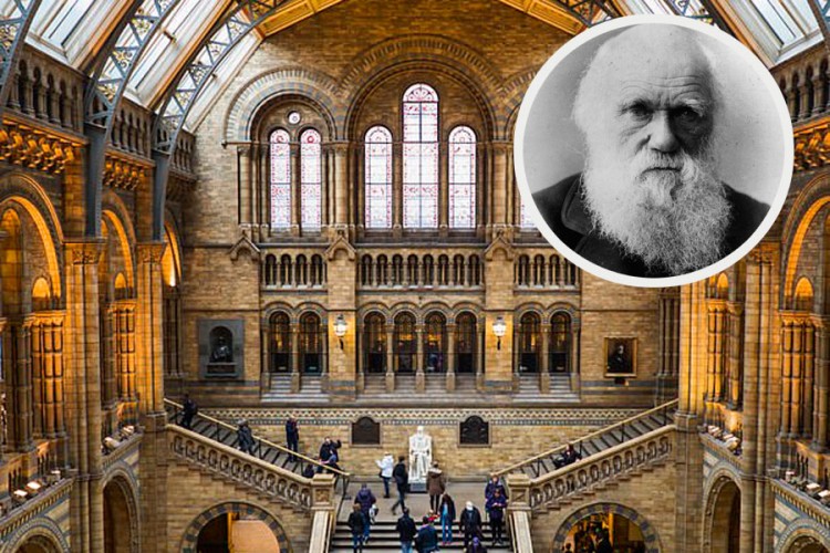 Londonski muzej uklanja Darvina zbog rasizma