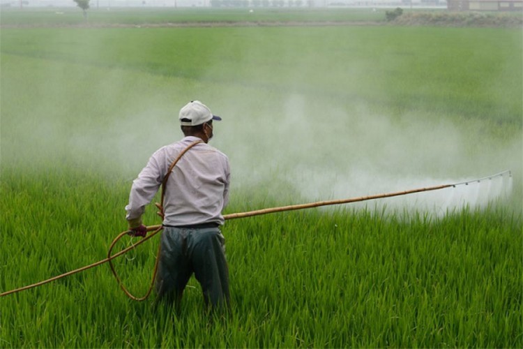 Italija prva po izvozu opasnih pesticida