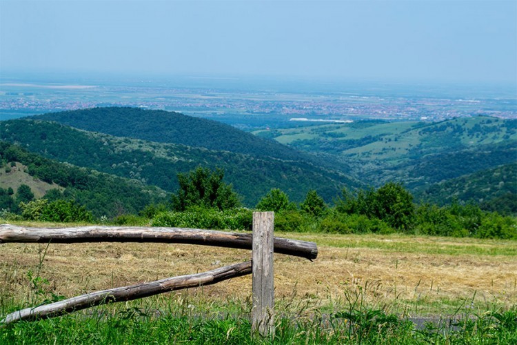 Troje maloljetnika evakuisano sa Fruške Gore