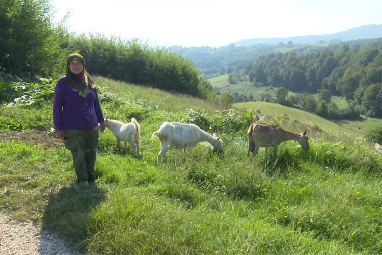 Habiba Burnić iz sanskog sela: Koze se isplati držati