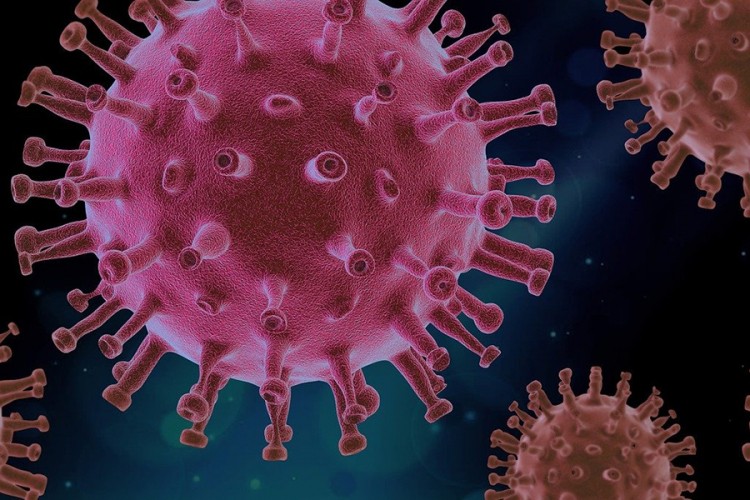 KCUS: Urađena 184 testa na koronu, virus potvrđen kod 10 osoba
