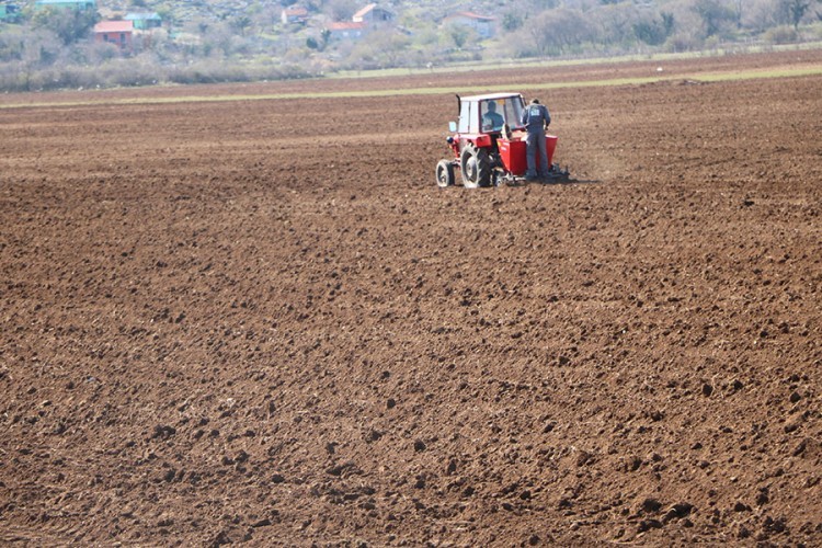 Dutina: U poljoprivredu uloženo više od 1.200.000 KM