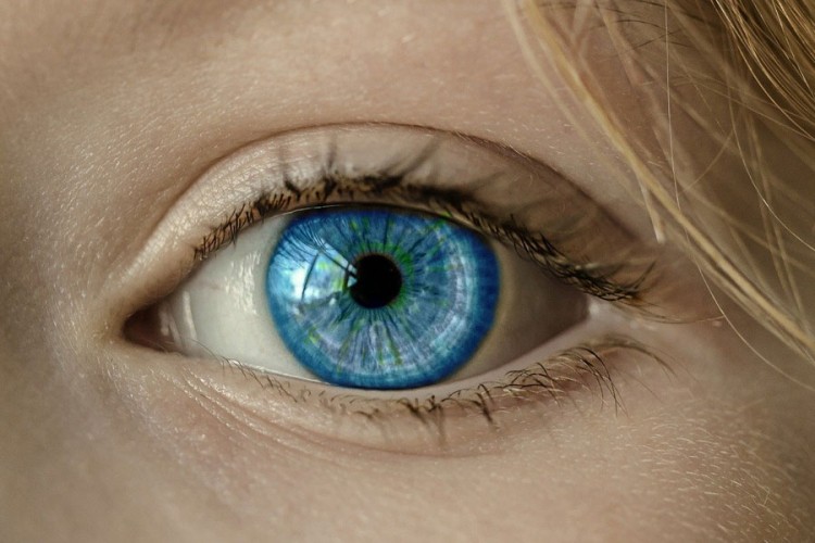 Vraćanje vida slijepima: Naučnici spremni da testiraju implante
