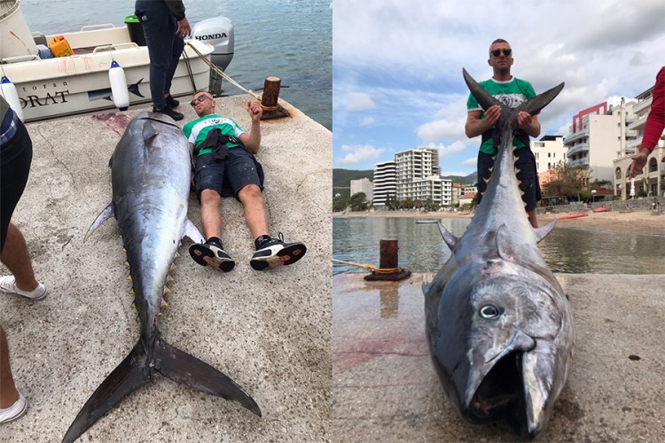 Ribari u Budvi ulovili tunu od dva metra