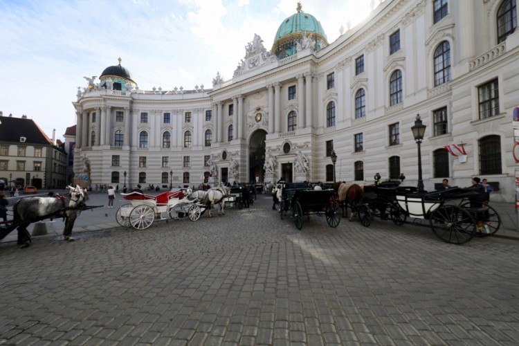 Majka ubila svoje tri djevojčice, uhapšena u Beču