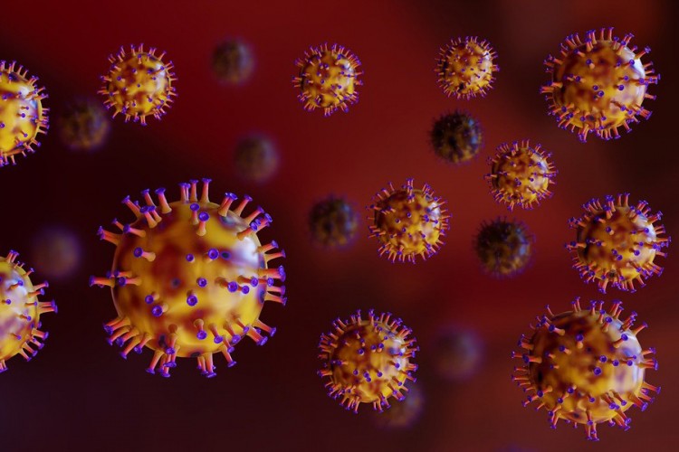 "Postoji rizik od epidemije vještačkih virusa"