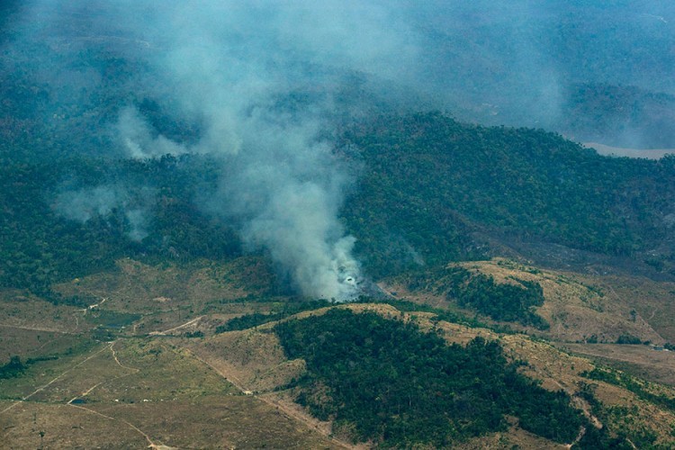 Vatrogasci povučeni sa gašenje šumskih požara zbog nedostatka novca