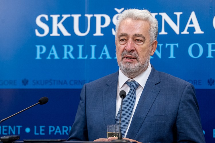 Vijesti: Krivokapić rekao da u vladi neće biti lideri DF