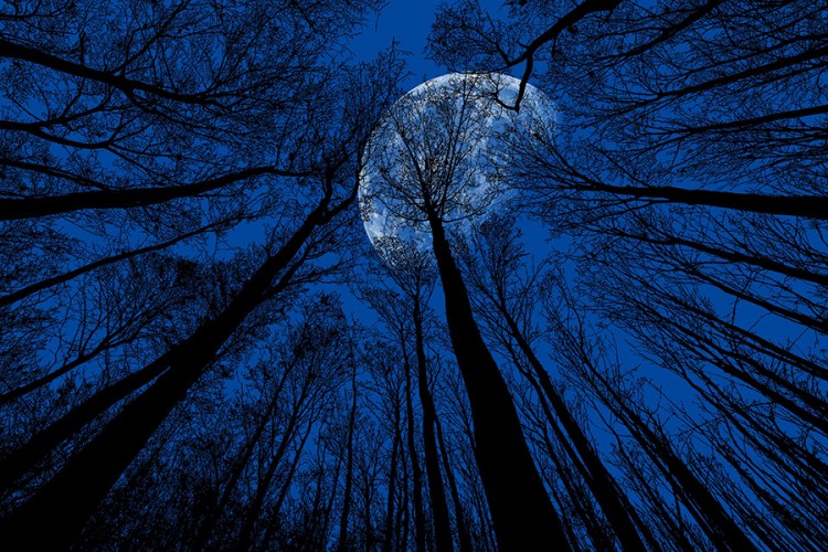 Rijedak fenomen: Plavi mjesec na nebu 31. oktobra