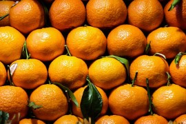 Nelegalno prelazio granicu BiH i Hrvatske sa 600 kilograma mandarina