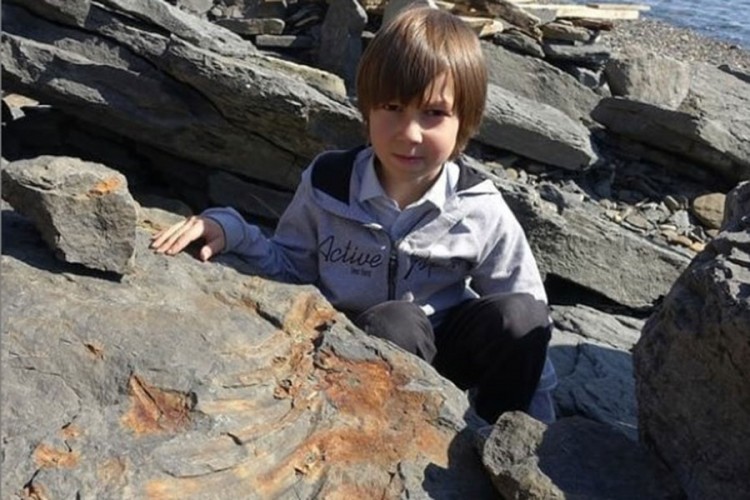 Dječak kod Vladivostoka otkrio fosil praistorijskog morskog reptila