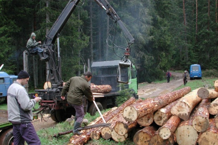 Smanjena prodaja proizvoda šumarstva, poljoprivrede i ribarstva