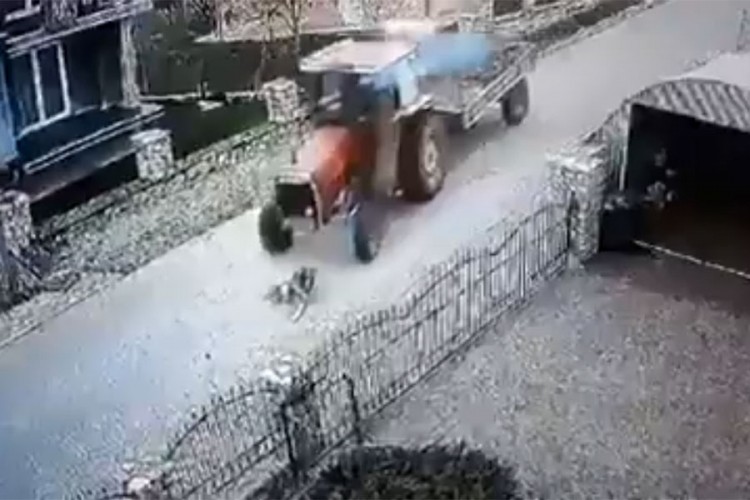 Traktor pregazio psa, uznemirujući snimak se širi društvenim mrežama