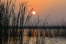 Močvare su skrivena ljepota Mesopotamije