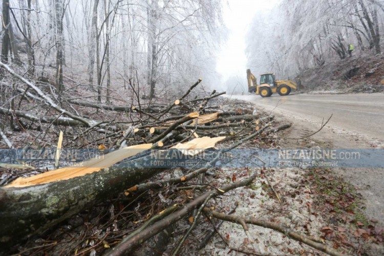 Nevrijeme na području Banjaluke rušilo stabla i isključlio struju