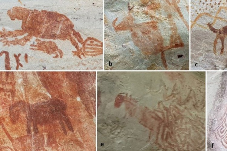 U Amazonu pronađeni crteži divovskih stvorenja iz ledenog doba