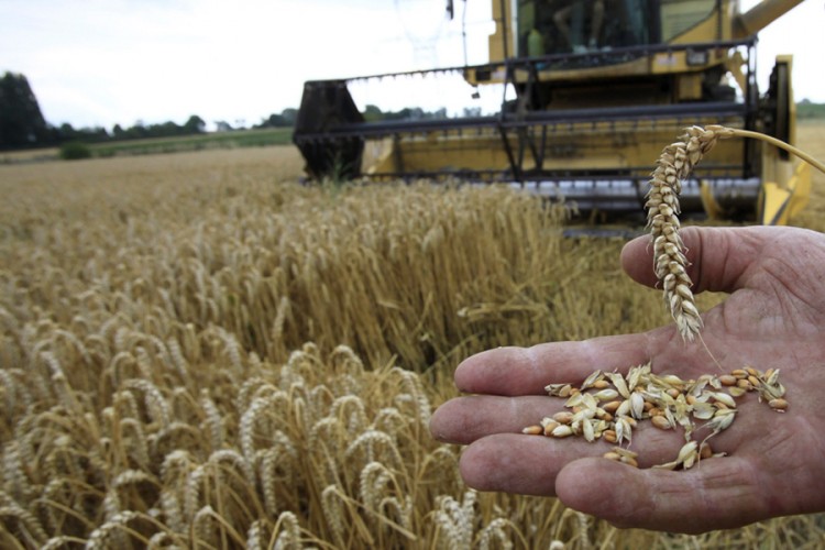 Njive, farme i fabrike donijele 2,6 milijardi KM