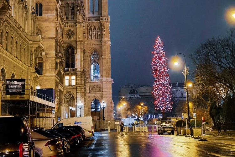 Božićna jelka u Beču visoka 33 metra