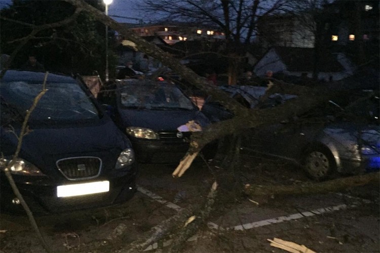 Vjetar pravi štetu u Banjaluci, stabla pala na parkirane automobile