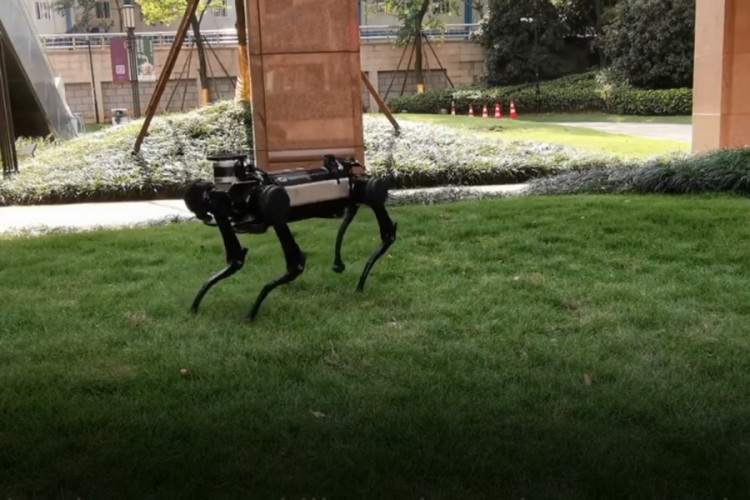 Kako je robot pas naučio da se odbrani od udaraca ljudi?