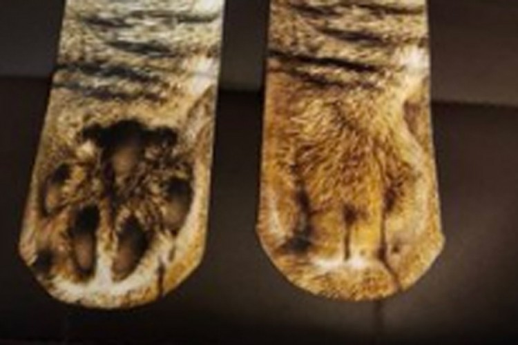 Kupio čarape s uzorkom mačjih šapa, reakcija mačke postala hit