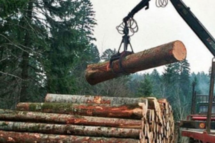 "Šume Srpske": Ostvaren plan proizvodnje, usporena naplata