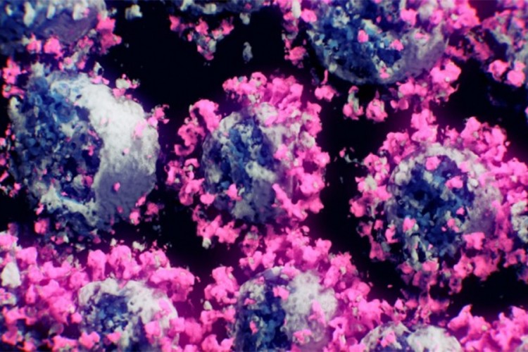 Bečki naučnici omogućili novi 3D prikaz virusa korona