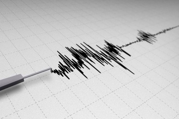 Snažan potres kod Oklandskih ostrva