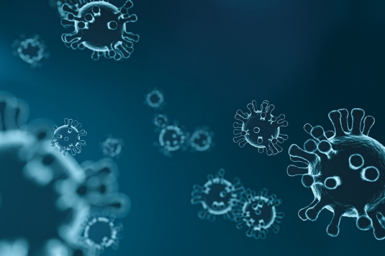 Ruski naučnici objavili fotografiju novog soja virusa korona