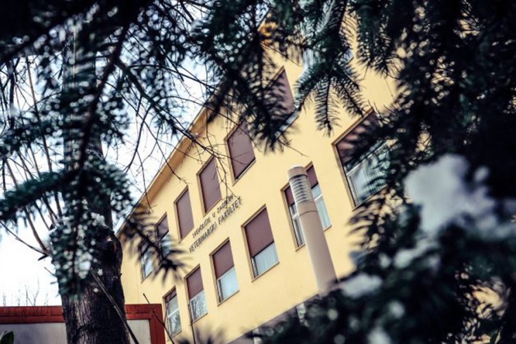Profesor veterine u Zagrebu suspendovan zbog seksualnog zlostavljanja