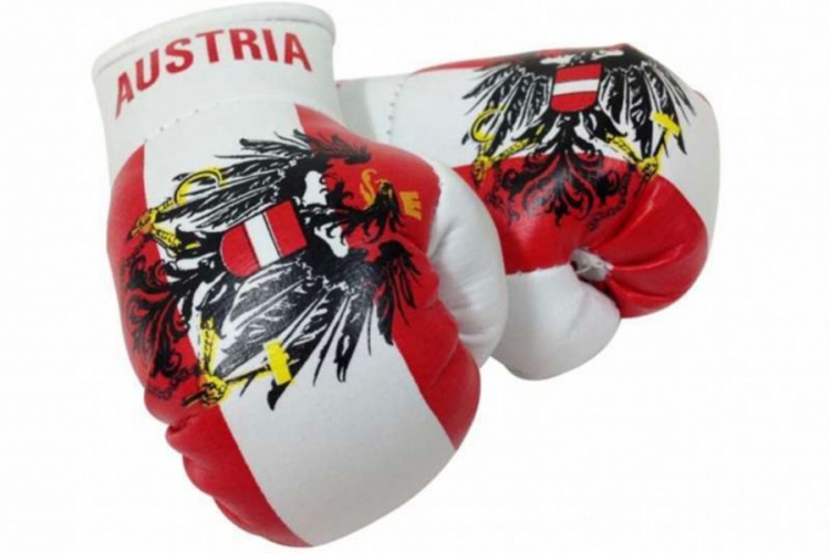 Bokserski savez Austrije isključio doživotno trojicu boksera